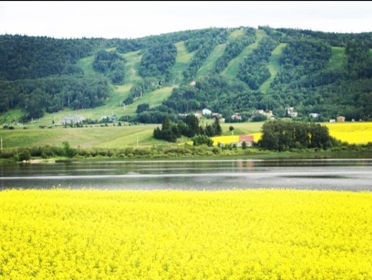 Municipalité d'Hébertville » Mont LacVert